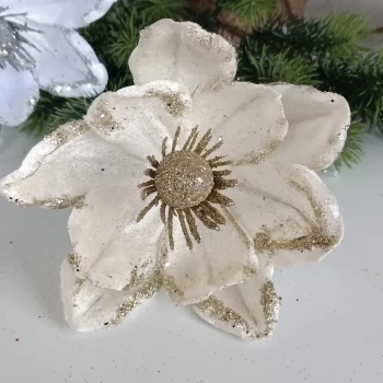 Flori unice de Craciun